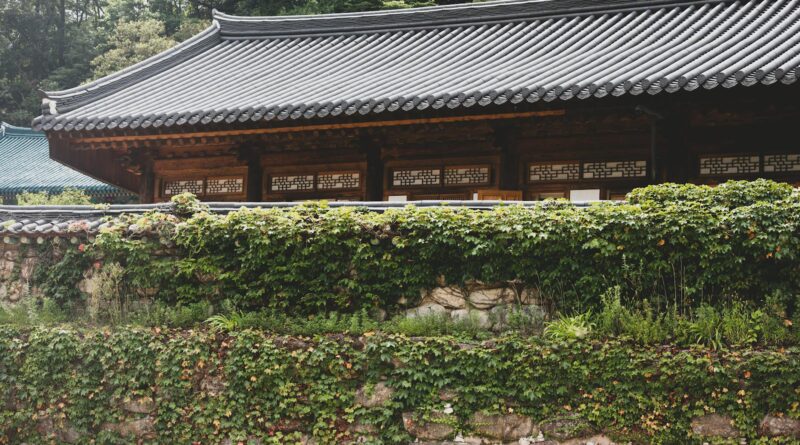 Korea-Africa partnership