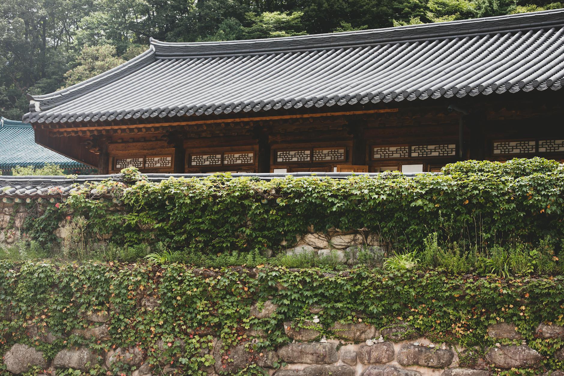 Korea-Africa partnership