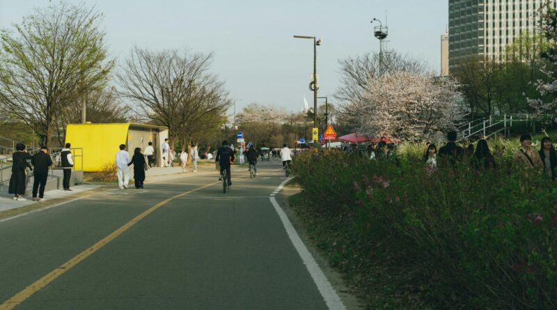 ソウル自転車