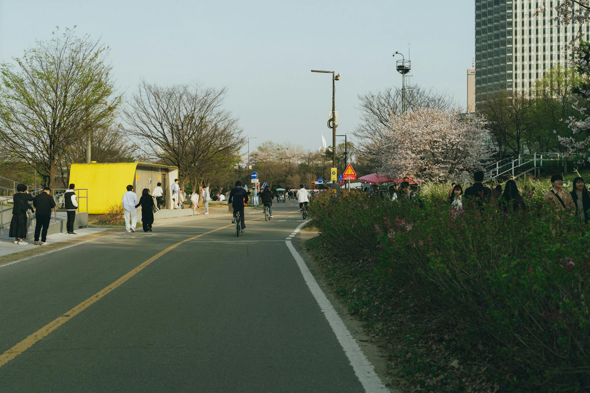 ソウル自転車