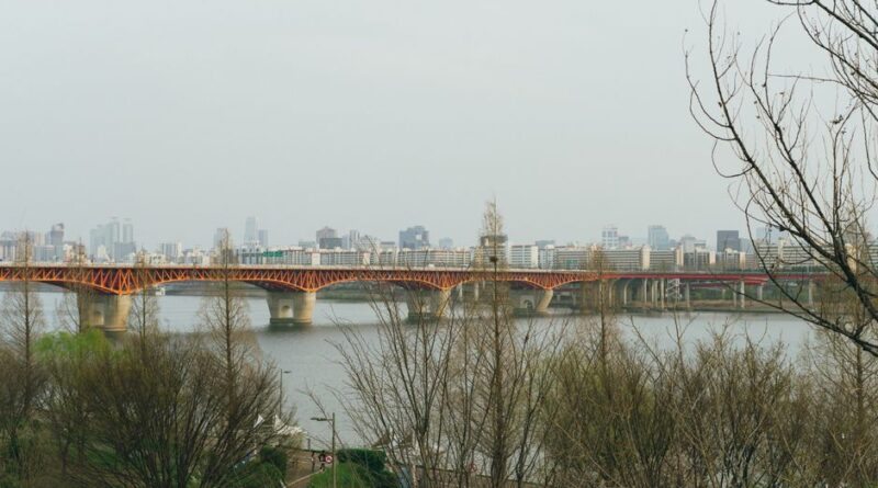 汝矣島桜祭り