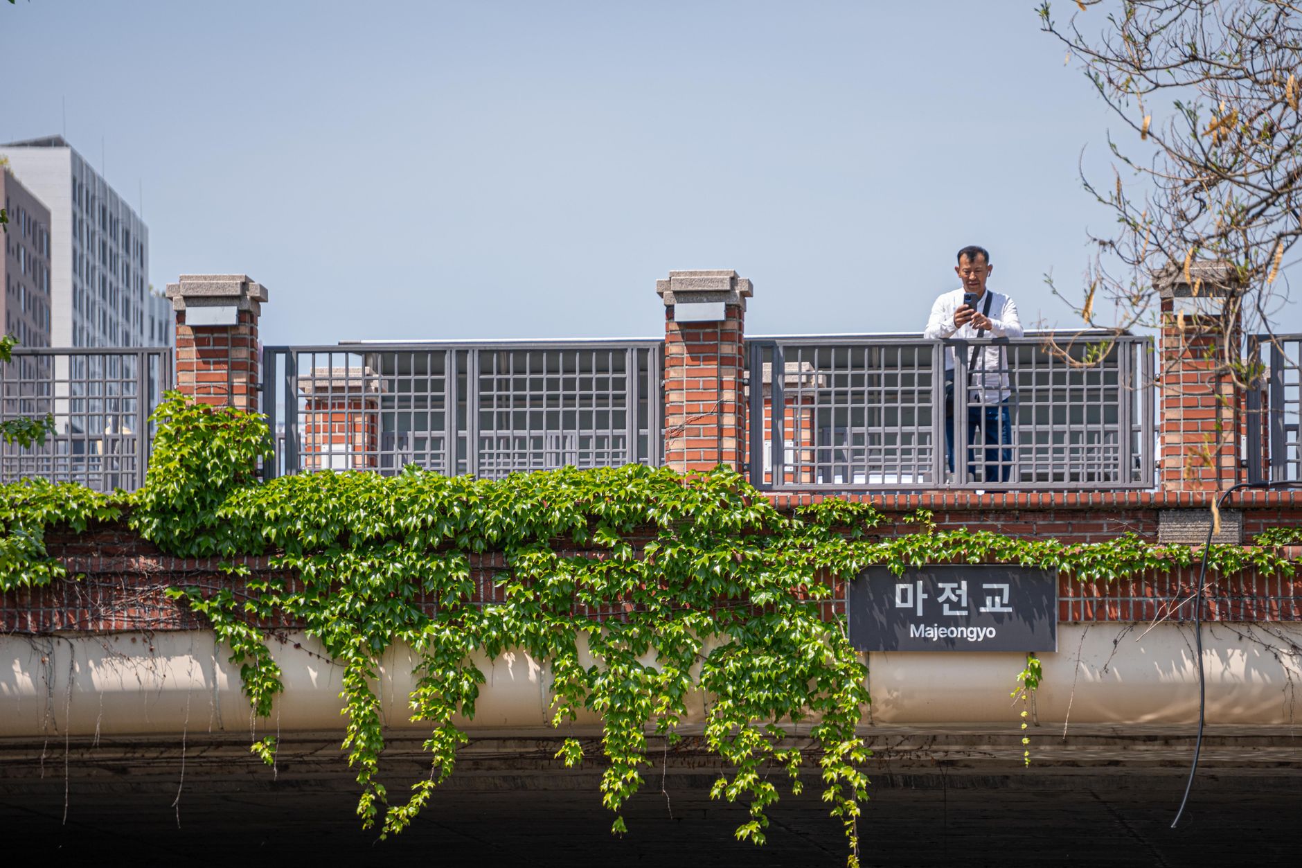 韓国通信