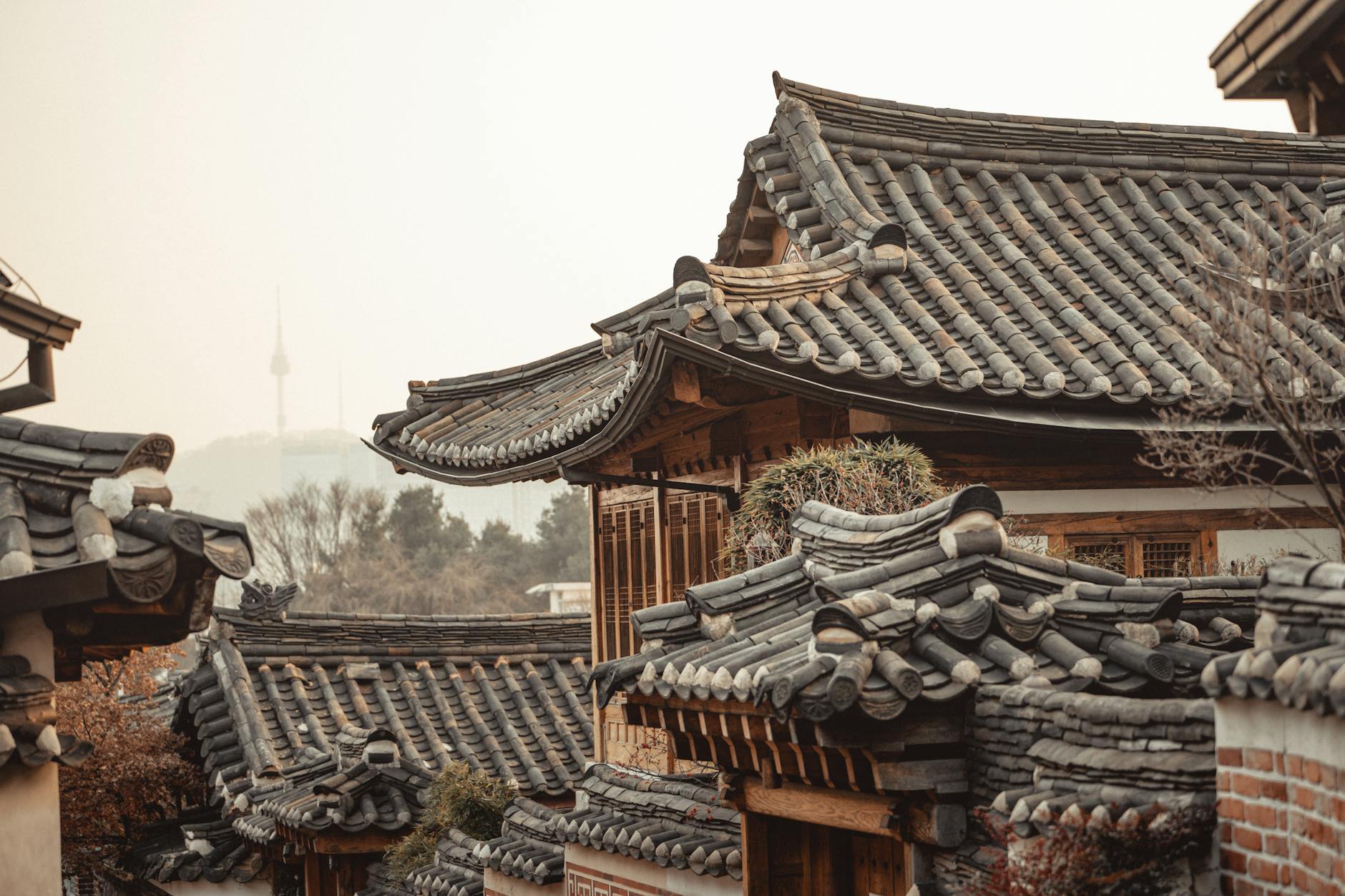 Korea-US Alliance