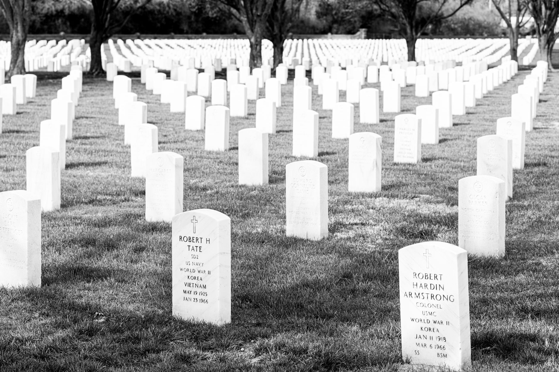 Korean War Remains